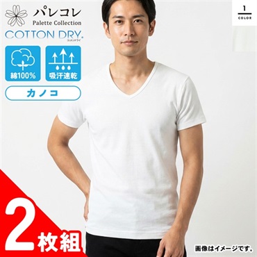 パレコレ メンズコットンドライカノコ半袖Ｖネックシャツ2P【COTTON DRY】
