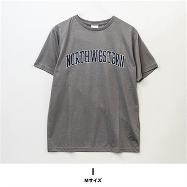 メンズ半袖プリントTシャツ【目玉商品返品交換対象外】(I(Lサイズ))