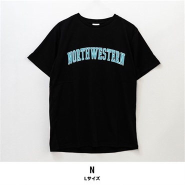 メンズ半袖プリントTシャツ【目玉商品返品交換対象外】(N(Lサイズ))