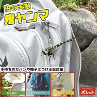 虫の天敵 オニヤンマ